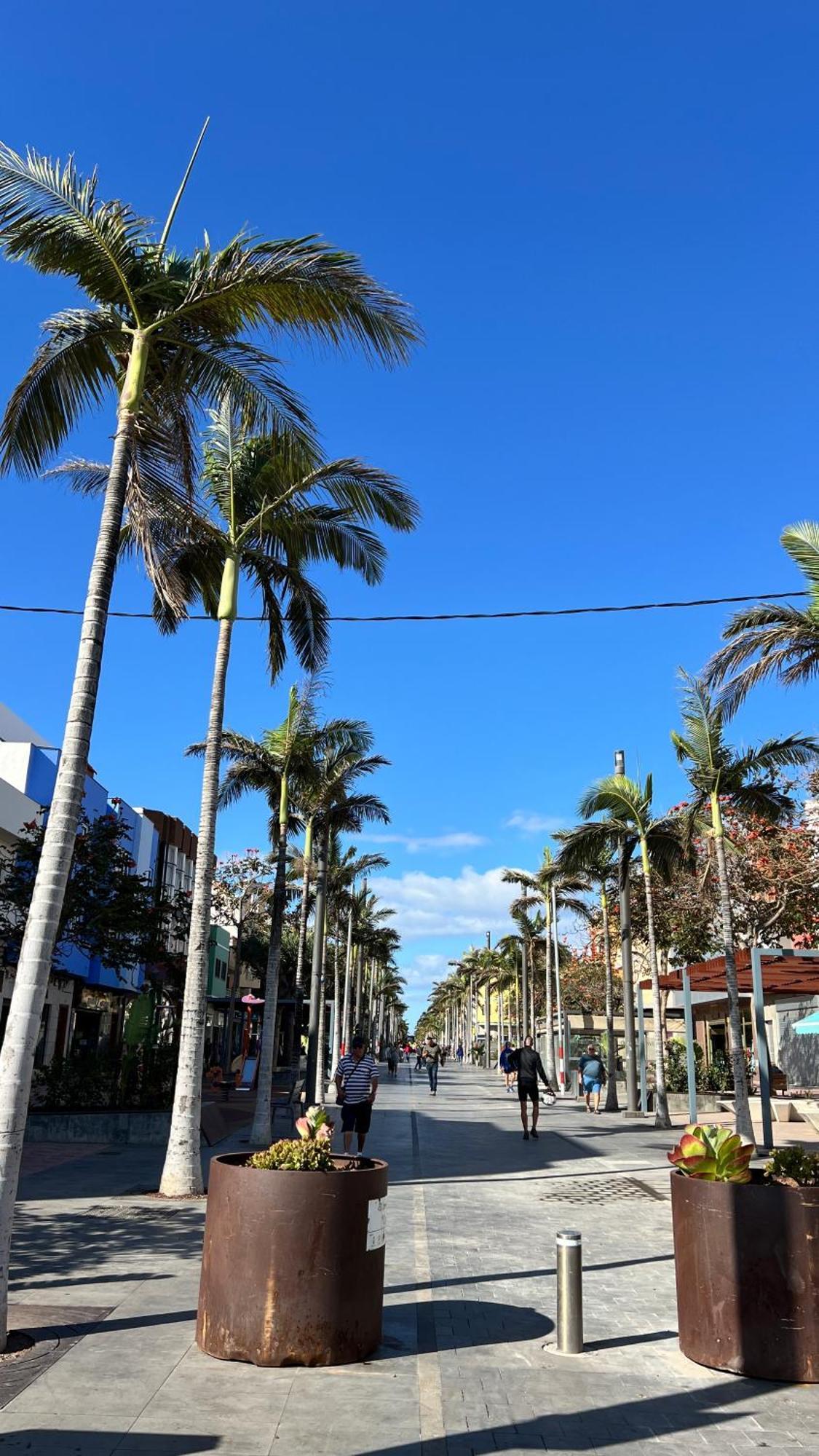 Mirame Canarias Vecindario  Exterior photo